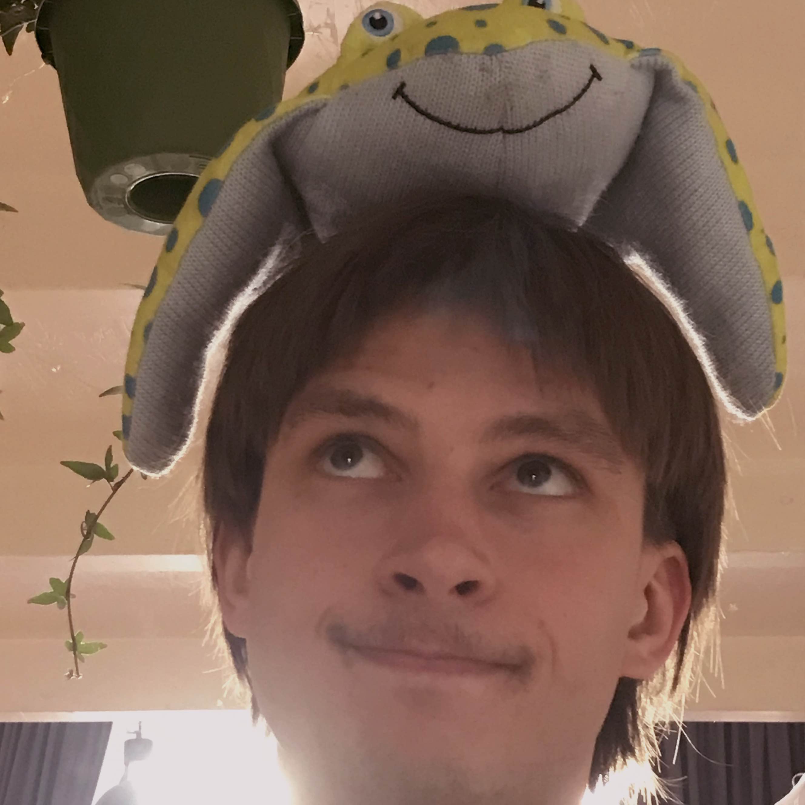 Florin Wöginger